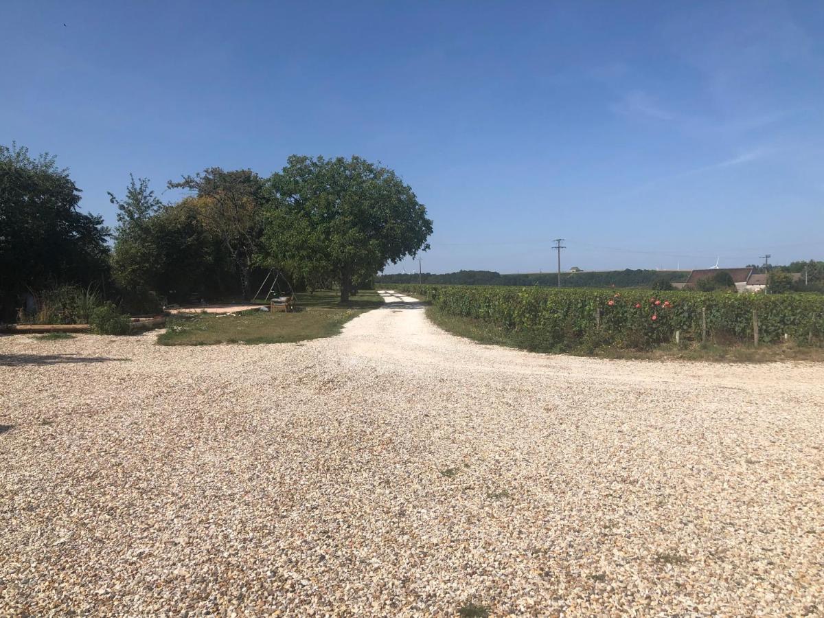 Maison De Pauline, Chablis Vineyard Préhy Zewnętrze zdjęcie
