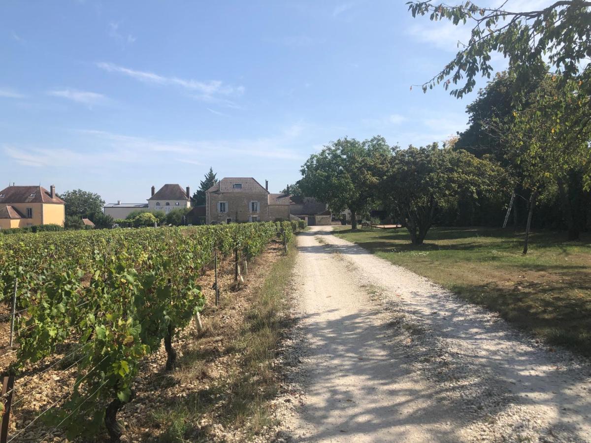 Maison De Pauline, Chablis Vineyard Préhy Zewnętrze zdjęcie
