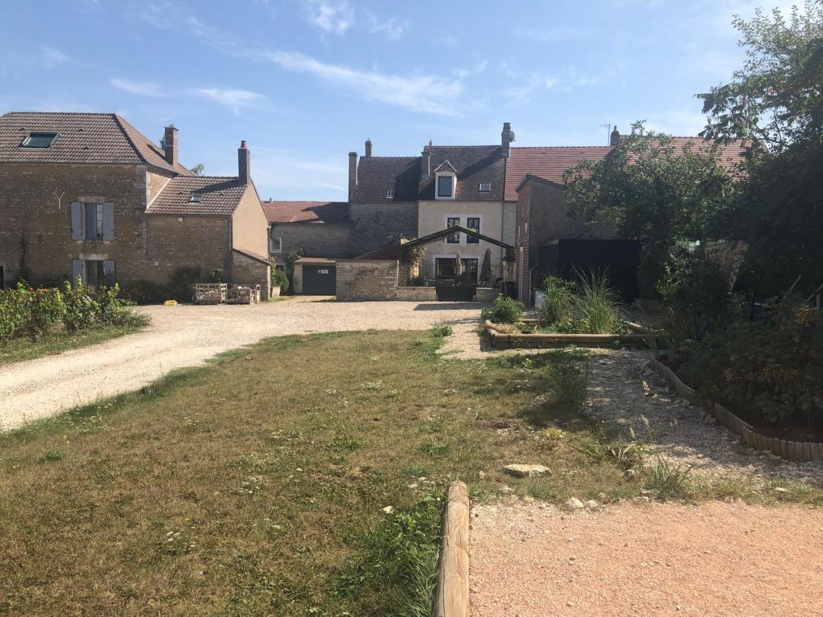 Maison De Pauline, Chablis Vineyard Préhy Zewnętrze zdjęcie
