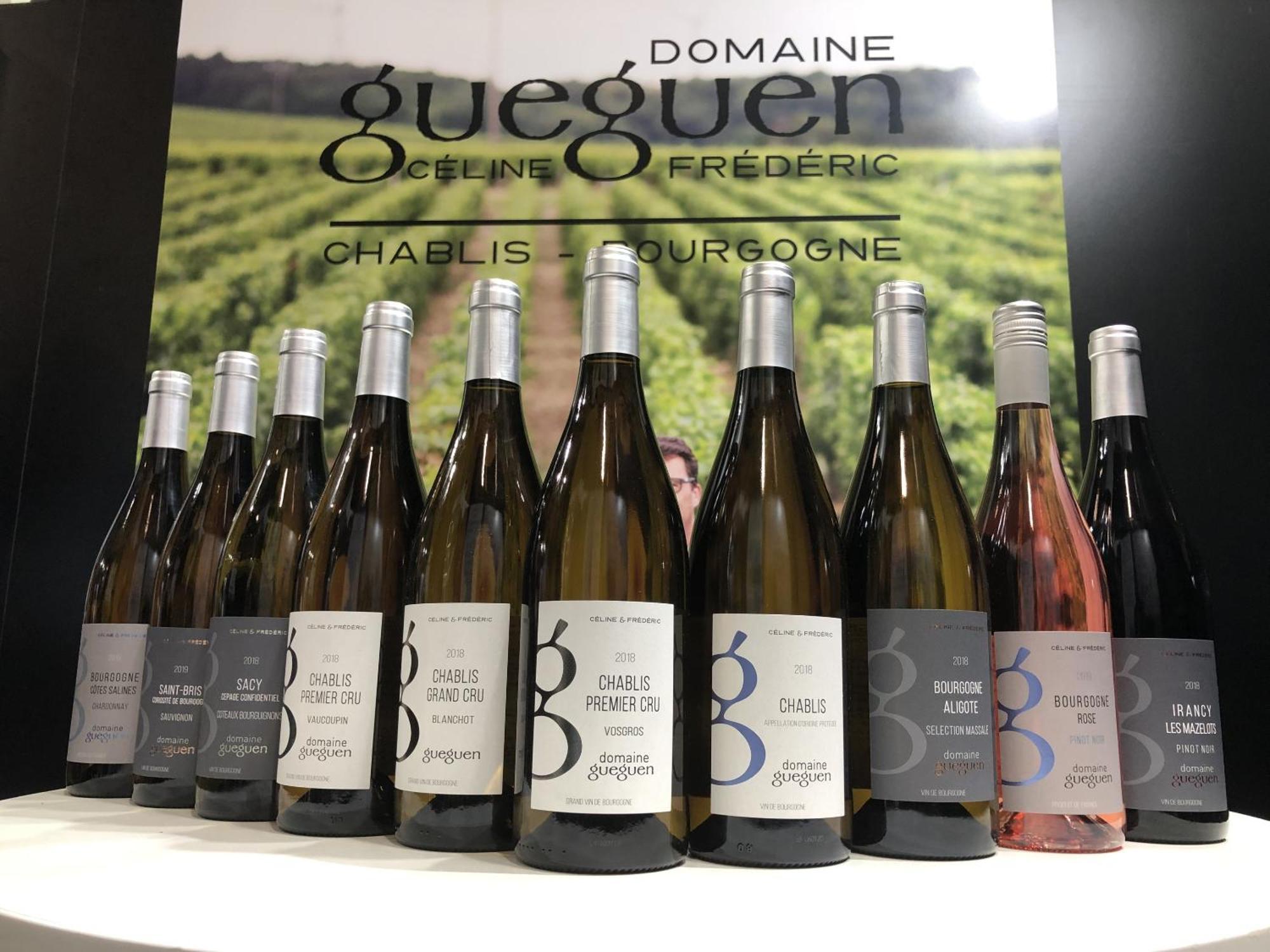 Maison De Pauline, Chablis Vineyard Préhy Zewnętrze zdjęcie