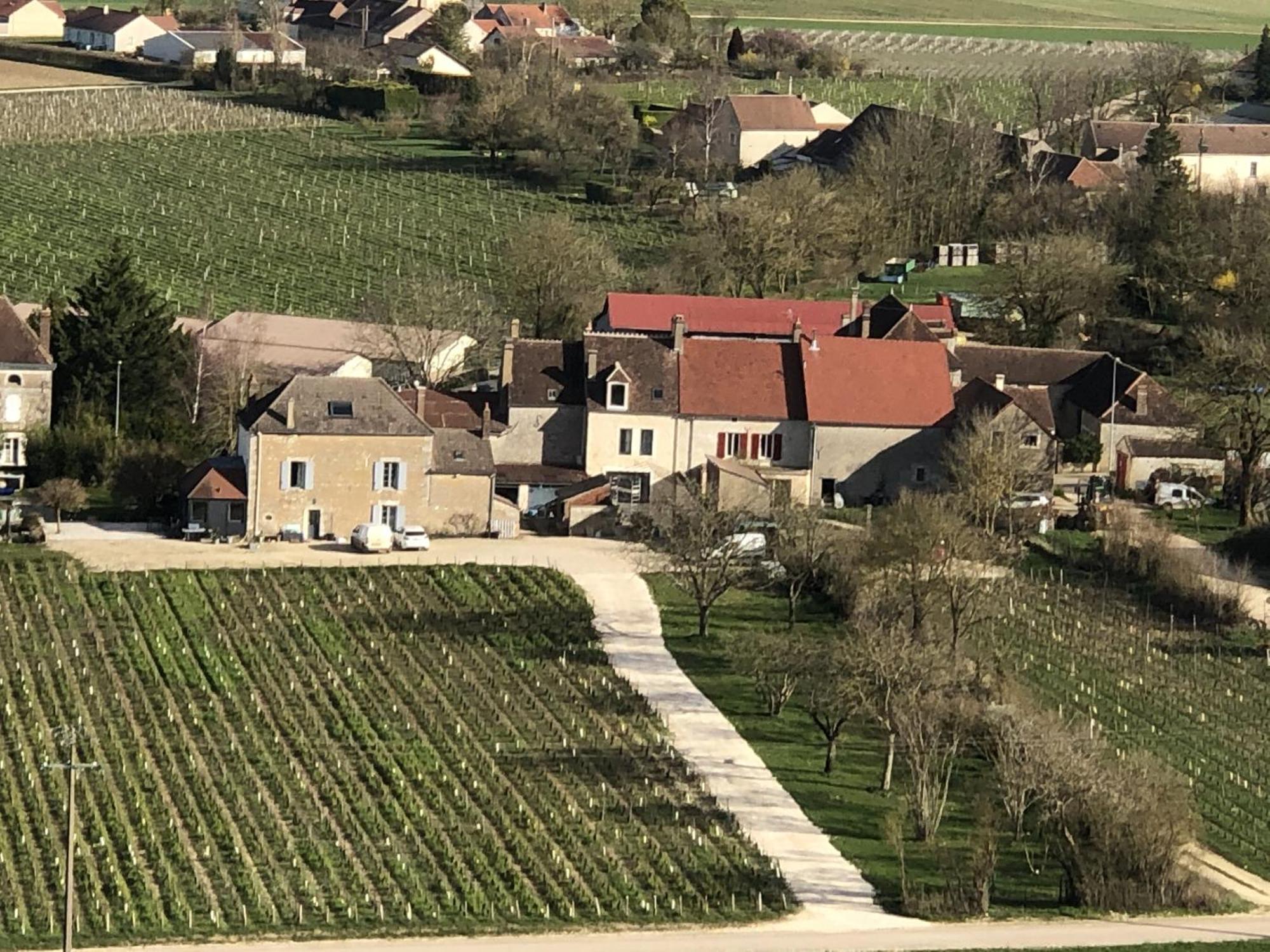 Maison De Pauline, Chablis Vineyard Préhy Zewnętrze zdjęcie